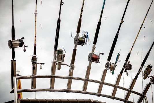 best fishing rod
