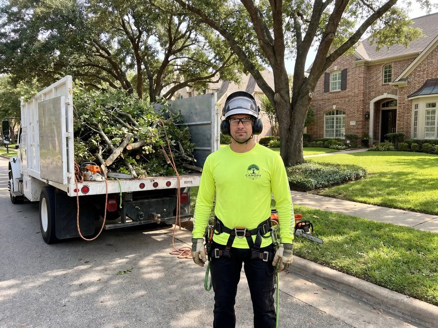 Working arborist on a jobsite wearing a high-visibility yellow custom-logoed WindRider Helios shirt — chest-plus-back combo placement in the field.